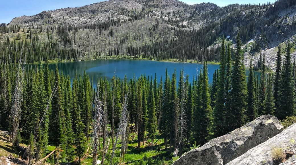 Upper Hazard Lake is a nice hike thru a meadow of wildflowers and a gentle elevation gain just before the lake. To get this view from the top you have to continue passed the lake and scale a few large boulders. Keep going on the trailhead and you will find Hard Creek Lake. This is a fantastic day hike.
#takeahike