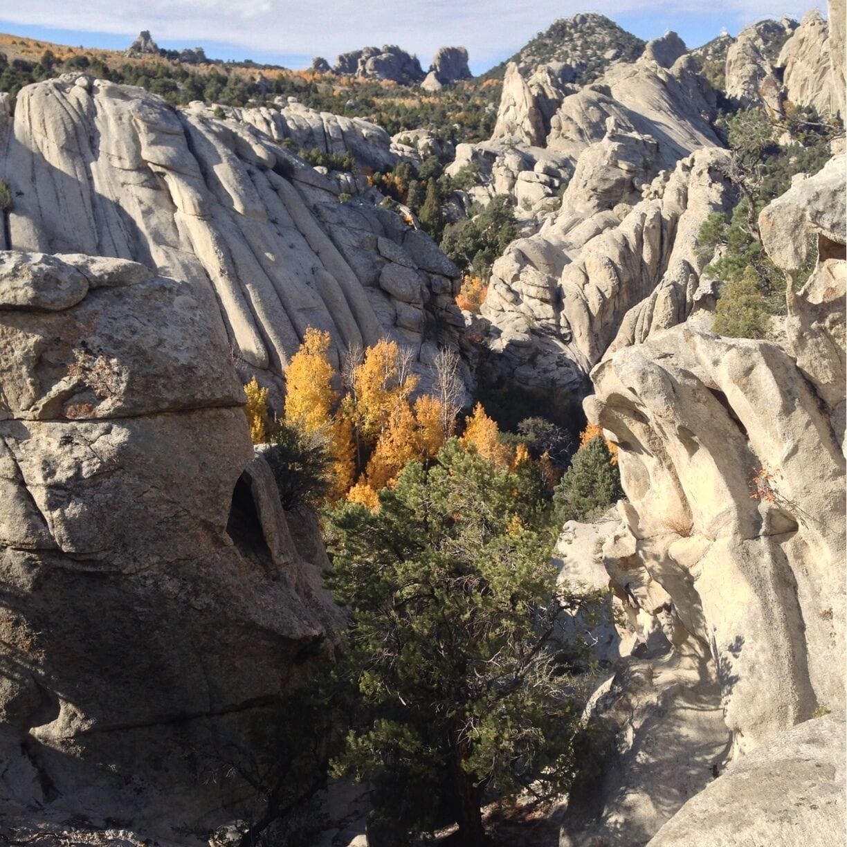 Un paisaje rocoso con grandes rocas y un árbol de hojas amarillas.
