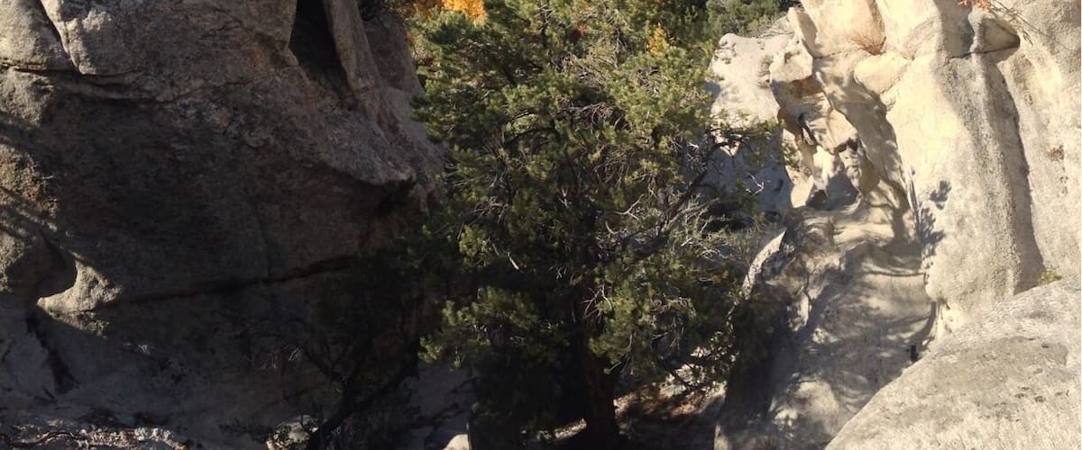 Un paysage rocheux, parsemé de gros blocs de pierre, et un arbre aux feuilles jaunes.