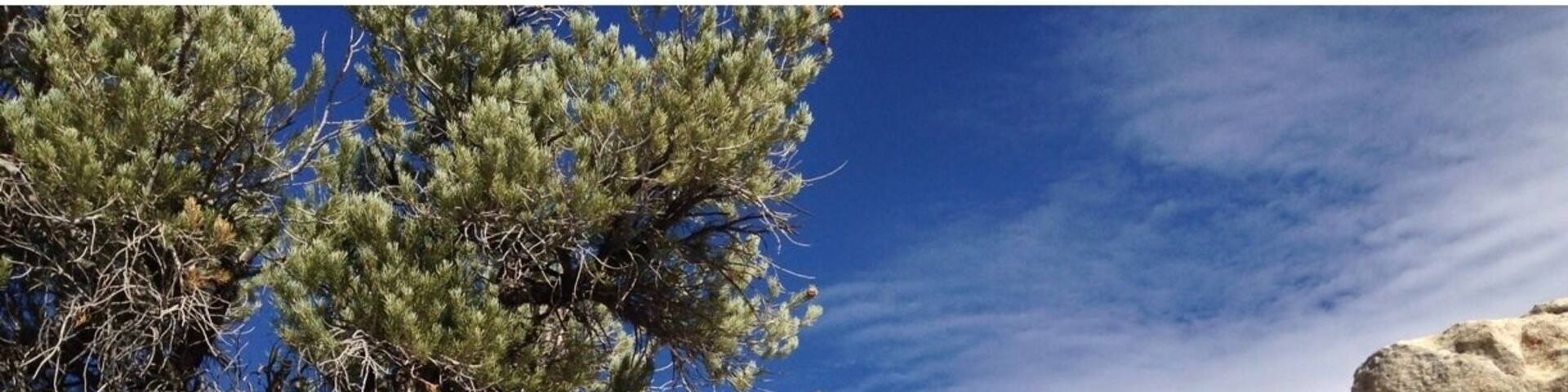 Window rock, great place to go exploring. Great tent camping or RV at Castle Rock State Park. I cannot tell you how amazing this area is. The California Trail went through here. See their signatures on Signature Rock. This is a rock climbers paradise. Nice Hot Springs near by. The town of Almo has real nice country western lodging. You can stay in a Yurt or rent a bunk house or lodge from the state park.
#instone