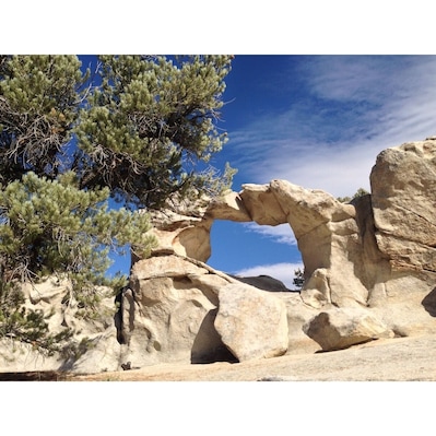 Window rock, great place to go exploring. Great tent camping or RV at Castle Rock State Park. I cannot tell you how amazing this area is. The California Trail went through here. See their signatures on Signature Rock. This is a rock climbers paradise. Nice Hot Springs near by. The town of Almo has real nice country western lodging. You can stay in a Yurt or rent a bunk house or lodge from the state park.
#instone