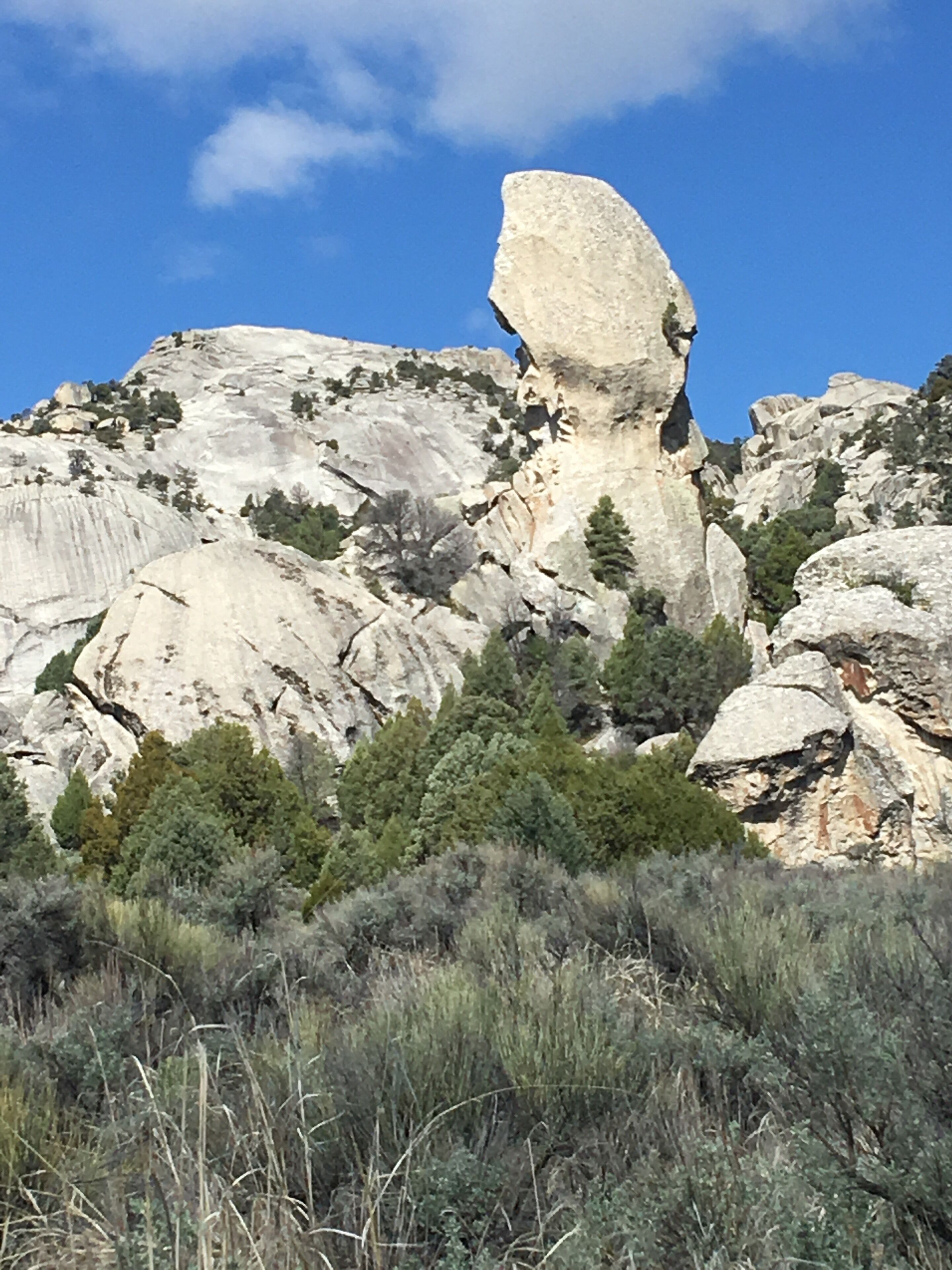 A large rock formation with a prominent overhanging section, surrounded by dense shrubbery and trees.