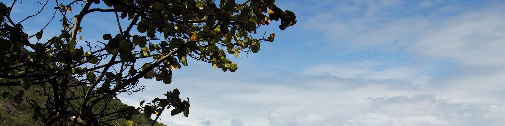 Plage de Pompierre sur Les Saintes