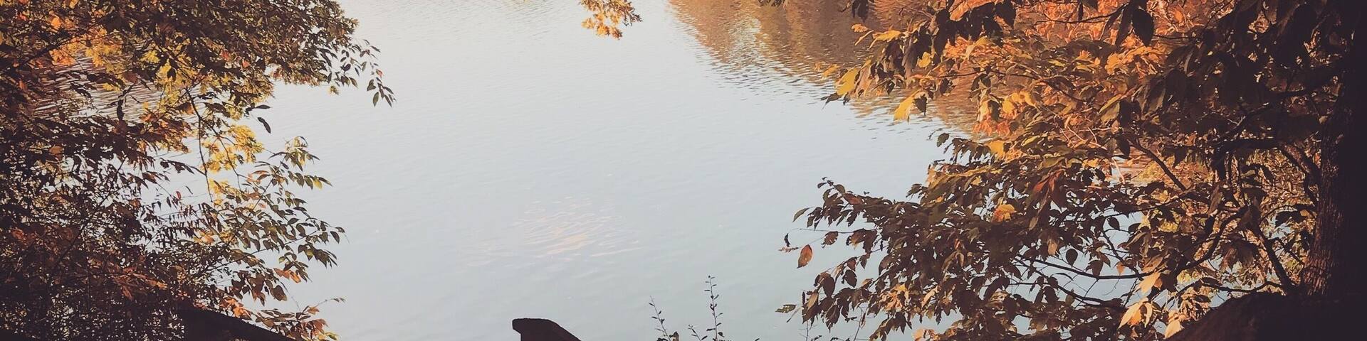 Nice lake, hiking and camping