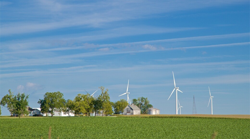 Illinois showing landscape views and farmland