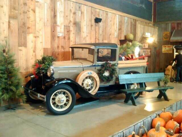 The best apple cider donuts anywhere. Fun place to shop and hang out and get a little country air. 