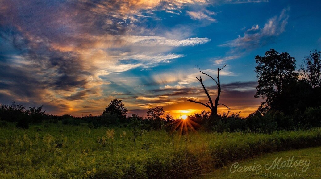 You can catch a beautiful sunset in this area!