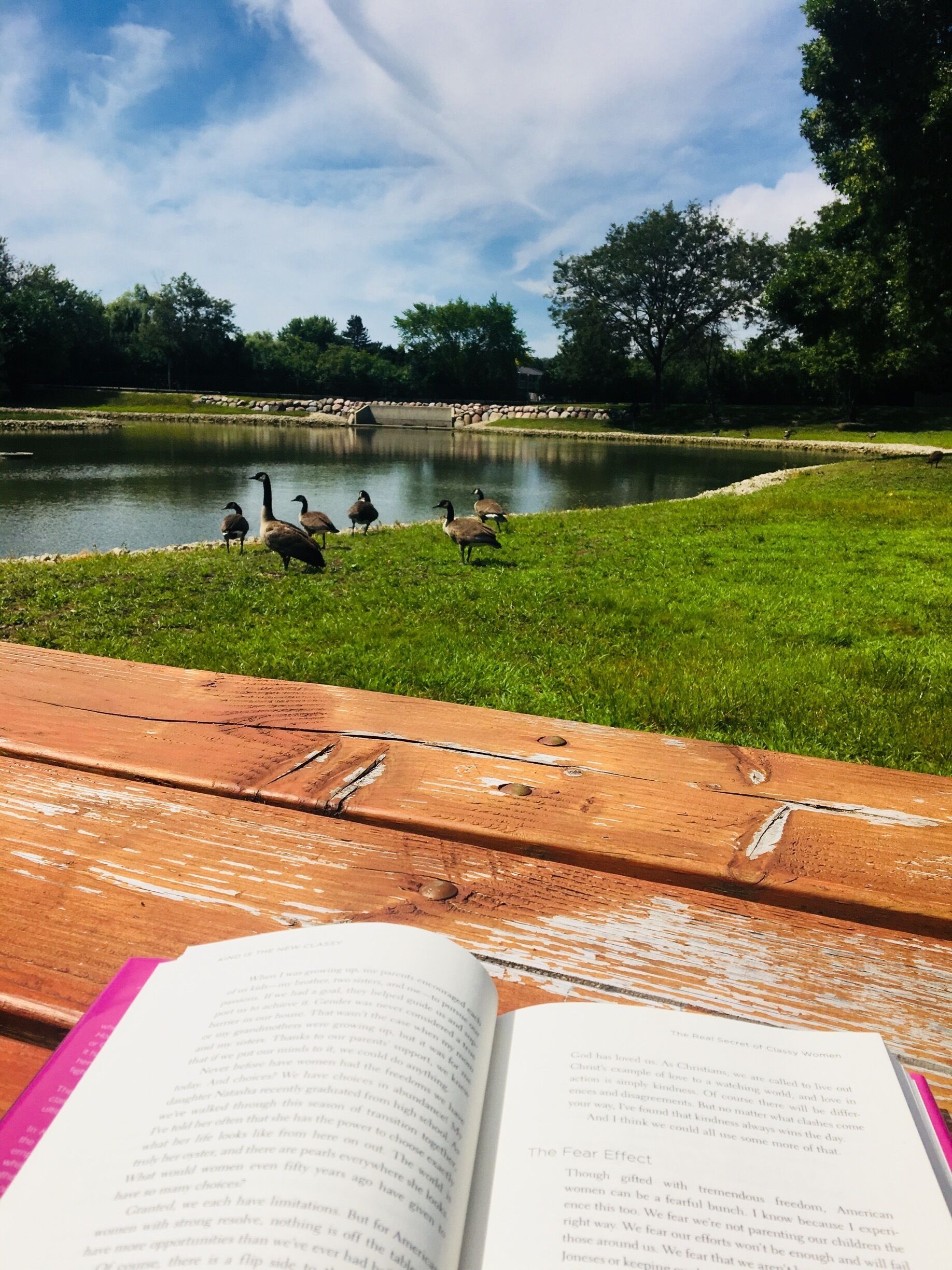 #chicago#suburbs #beautifulviewandcoldbreeze #summer2018