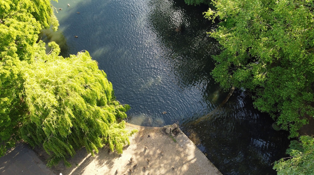 盧頓