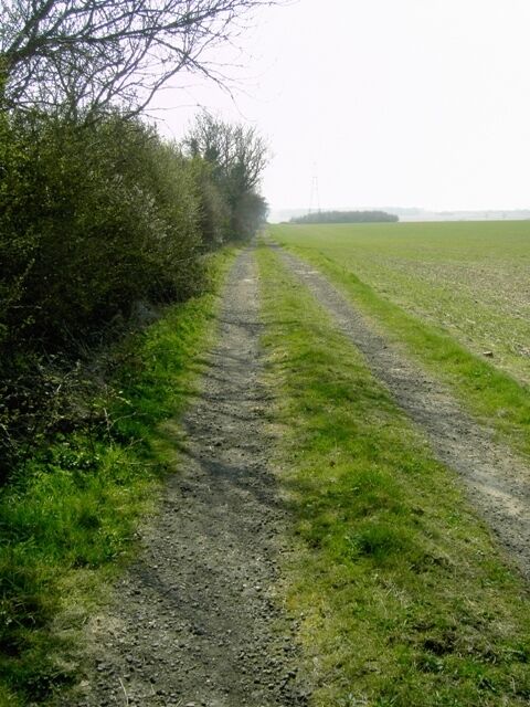 Farm road near Streatley