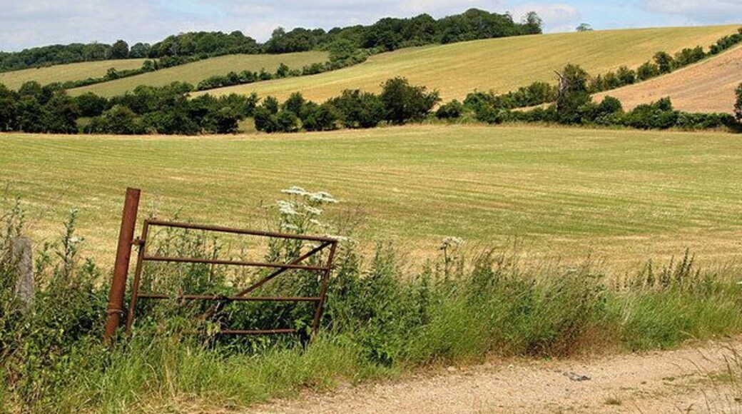 Open Gate. The very rural scene indicative of the Eastern end of the Chilterns near Lilley, Hertfordshire