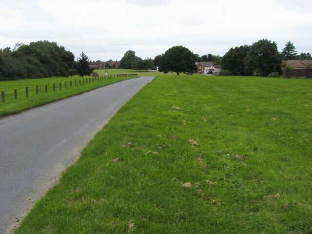 A rural road flanked by green fields and trees, leading towards a residential area.