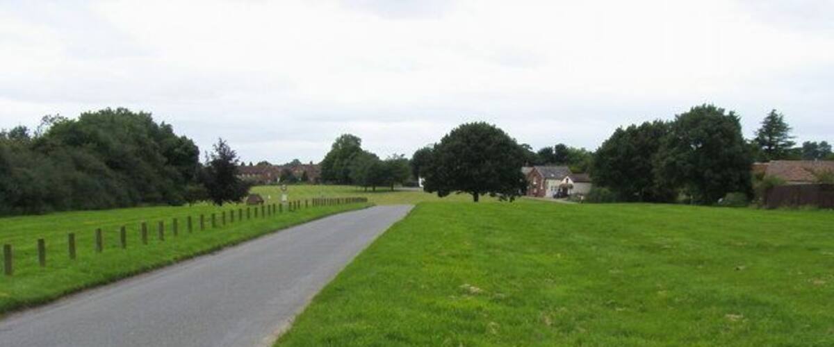 A rural road flanked by green fields and trees, leading towards a residential area.