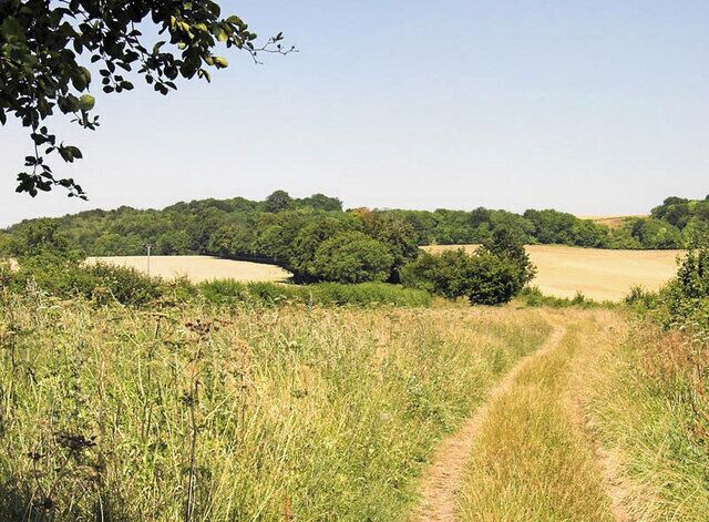 Icknield Way Path. Looking toward's Telegraph Hill, near Hexton.