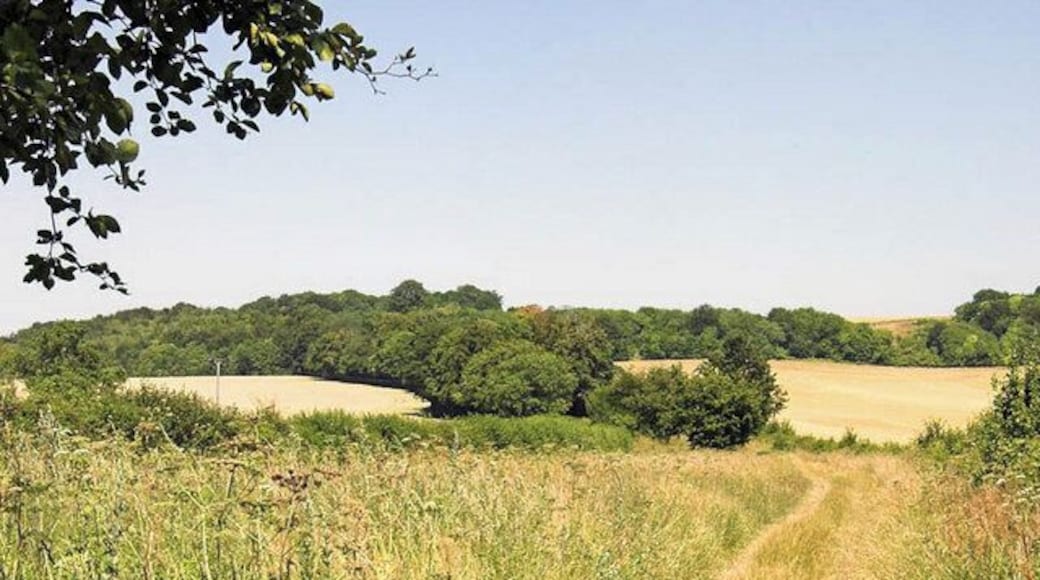 Icknield Way Path. Looking toward's Telegraph Hill, near Hexton.
