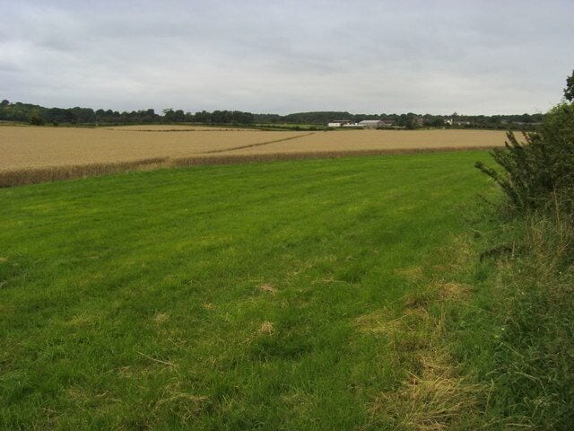 Footpath to Lilley Footpath from Lilley Bottom to Lilley