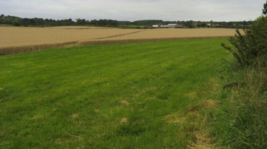 Footpath to Lilley Footpath from Lilley Bottom to Lilley