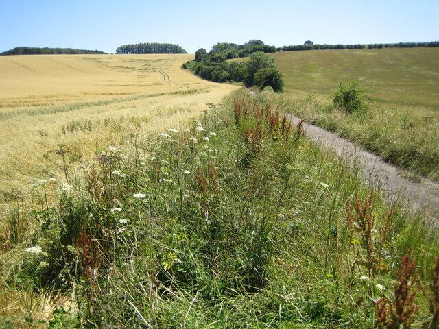 Stopsley Common The end of the tarmac lane from Butterfield Green.