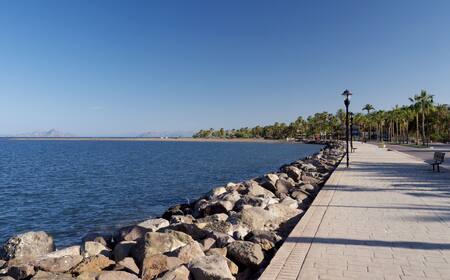 Loreto Vuelos De Dallas A Guadalajara Vuelos Baratos Desde MXN