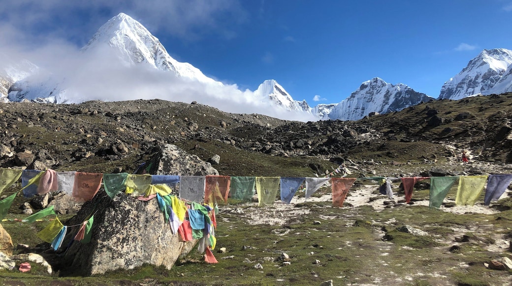 Lukla to Everest Base Camp - completed. A picture on the way up ... toughest thing I’ve ever done!