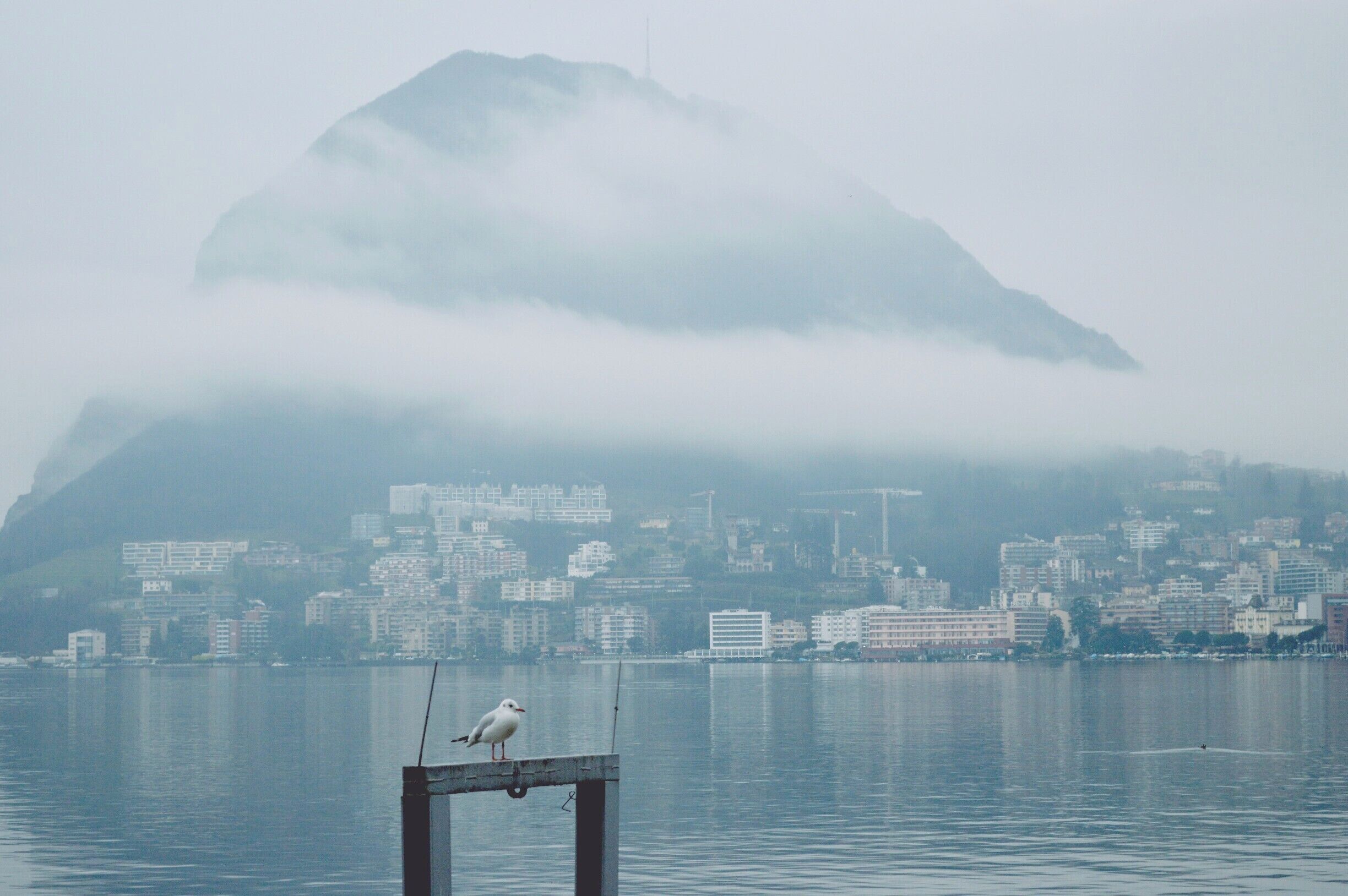 It was a little foggy the time I went to Lugano, but anyway it's pretty awesome the view around the city. This is the only place I went in Switzerland until now, but i can say that the way by car (from Italy) is amazing by itself too. It seems like a fairy tale place, it's insane.