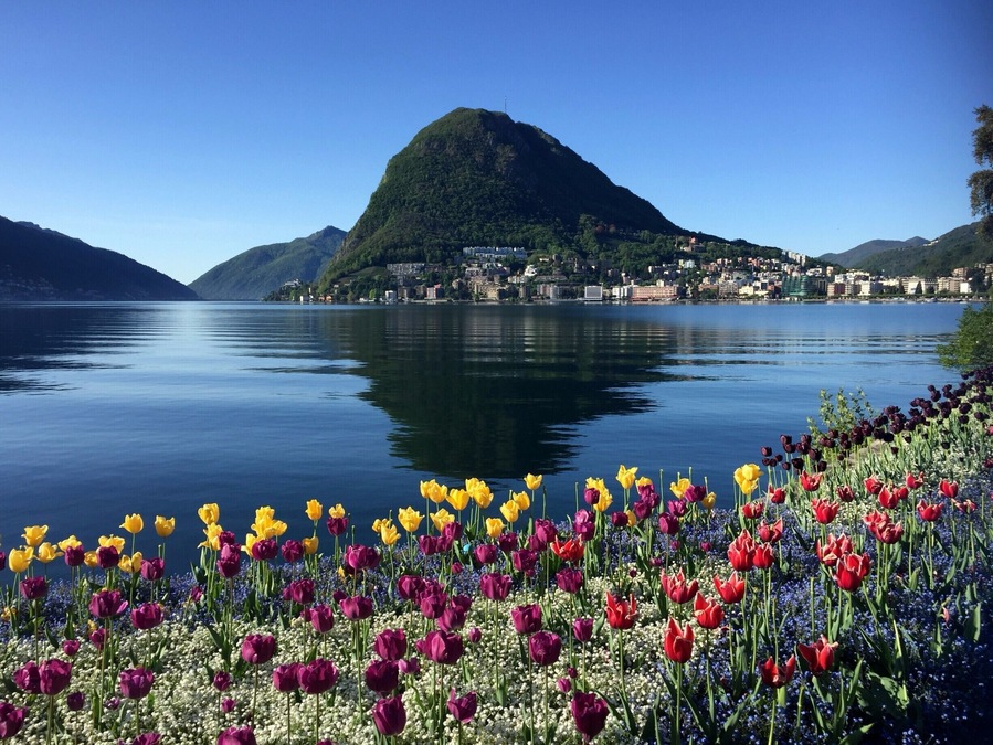 Beautiful view on Monte San Salvatore from Lugano's botanic gardens.
It is possible to take a funicular to the top of Monte San Salvatore, and to hike down from there. Count 4h to get to Morcotte, voted most beautiful village of Switzerland in 2016. From Moroctte, you can take the boat back to Lugano.
#Ticino #Switzerland #Lifeatexpedia #Lugano #Lake #Flowers #Botanicgardens #Hiking