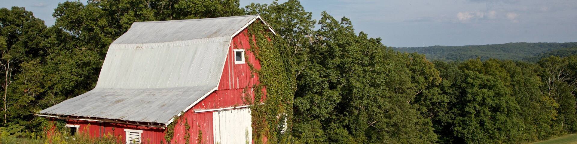 Indiana showing farmland