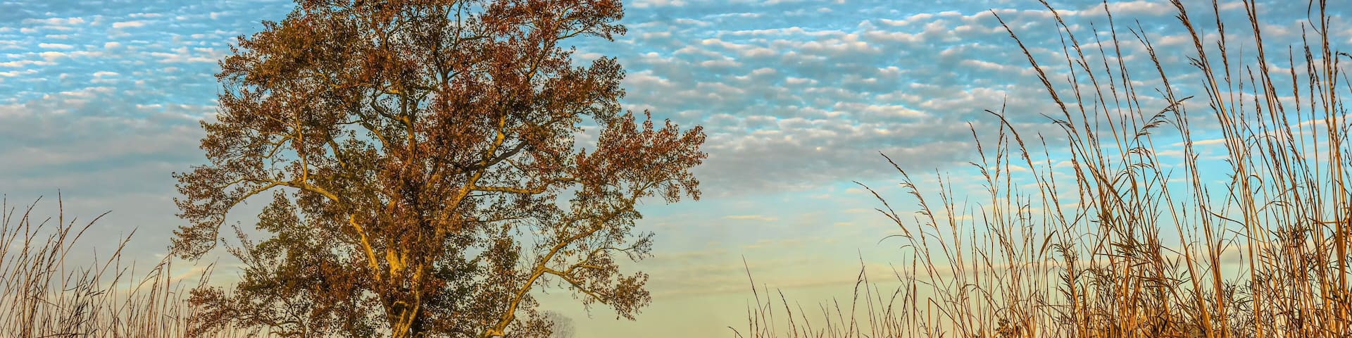Early morning in Muscatatuck National Wildlife Refuge.