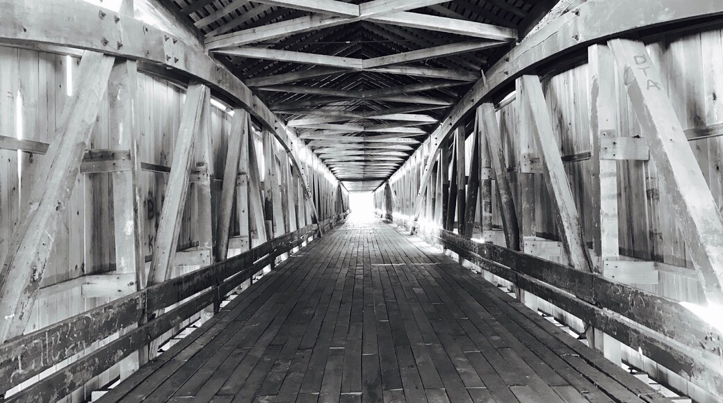 There are not so many covered bridges left anymore in southern Indiana but this one near Medora is particularly long and in good condition! Black-and-white seemed to capture the composition best.