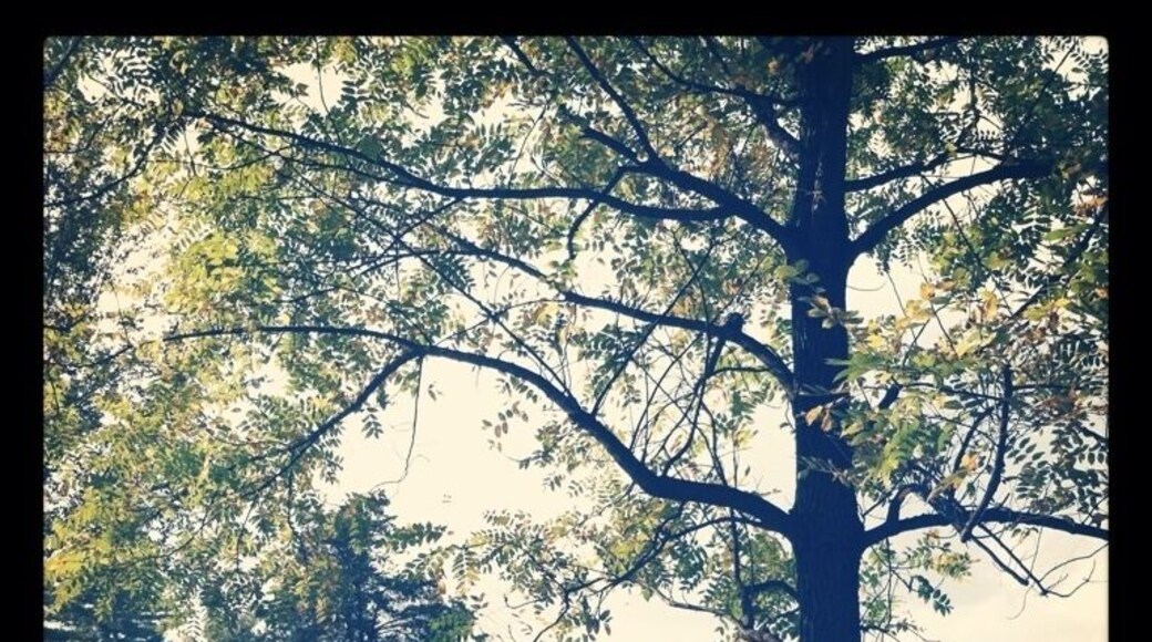 White Violet Farm Alpacas - part of an Eco-justice center run by the Sisters of Providence