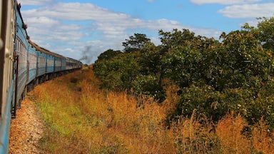 52 train ride between Dar Es Salaam and Lusaka! That's a personal record