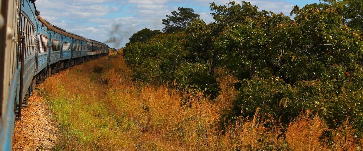 A train traveling through a rural landscape with trees and dry grass.