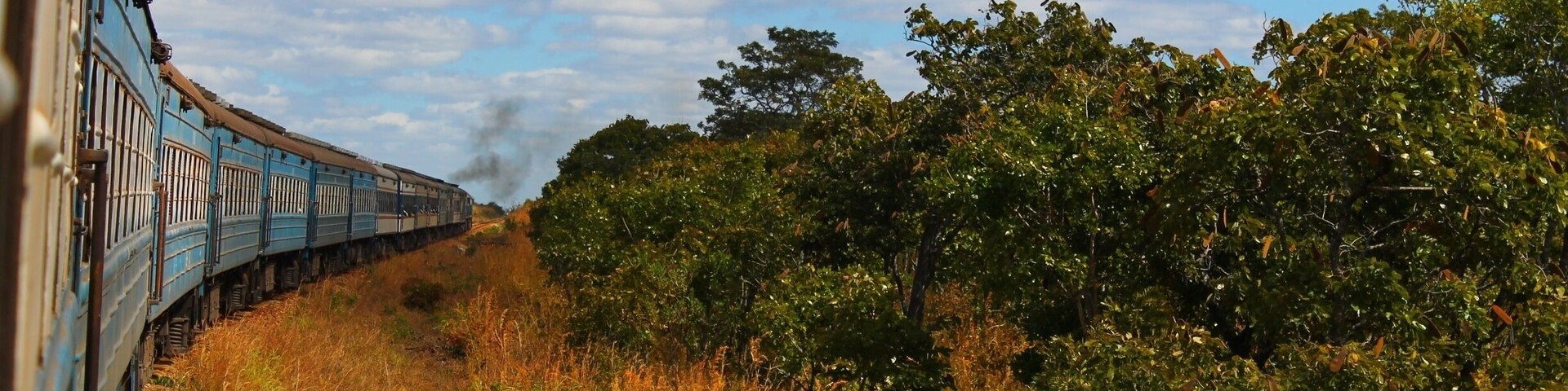 A train traveling through a rural landscape with trees and dry grass.