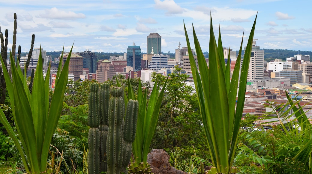 Harare city centre panoramic view, Zimbabwe, December 2018.