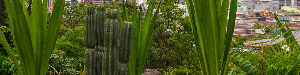 Harare city centre panoramic view, Zimbabwe, December 2018.