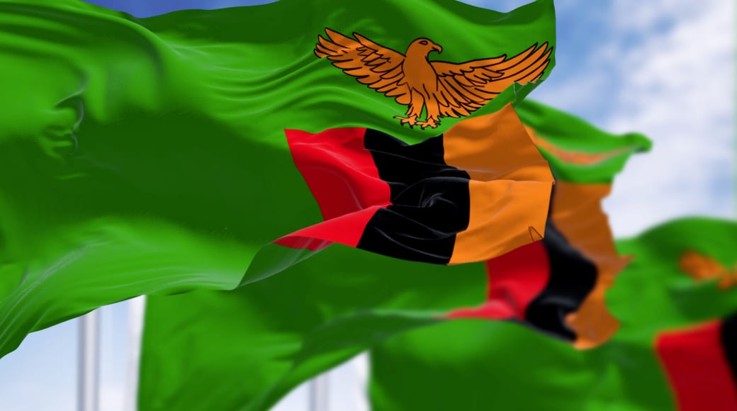 A flag with a bird emblem, red, black, and yellow stripes, waving in the wind.
