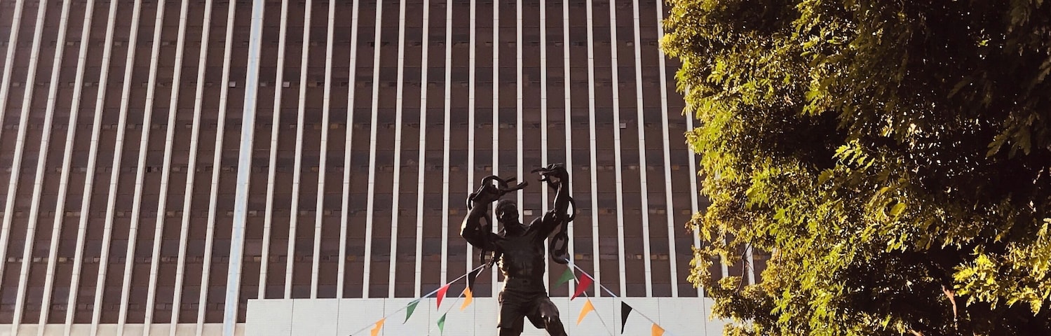 To #Freedom for all of us! 🙏🏾🇿🇲🦅✨