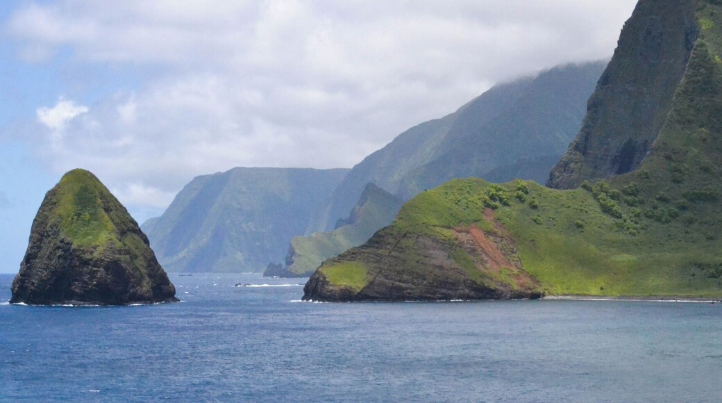 Visiting the island of Moloka'i from O'ahu on a six-passenger propeller plane and landing right in the old leper colony of Kalaupapa was one of the coolest experiences to-date. These gorgeous #beaches lie just beneath some of the tallest sea cliffs in the world. The only way to get to Kalaupapa is on a private tour, either by small plane, donkeys or hiking.
#lifeatexpedia