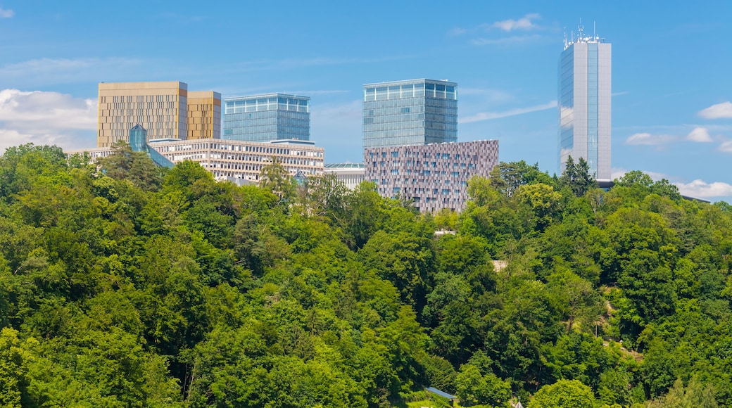 Panoramic view of some skyscrapers in the European quartier in Luxembourg