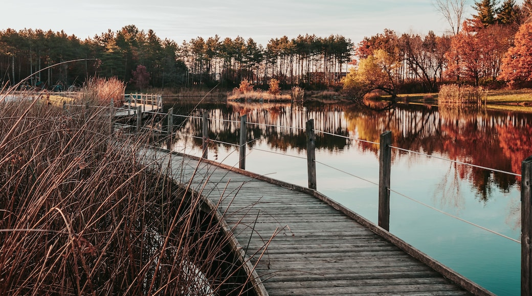 A wooden dock leading into a calm lake surrounded by autumn-colored trees.