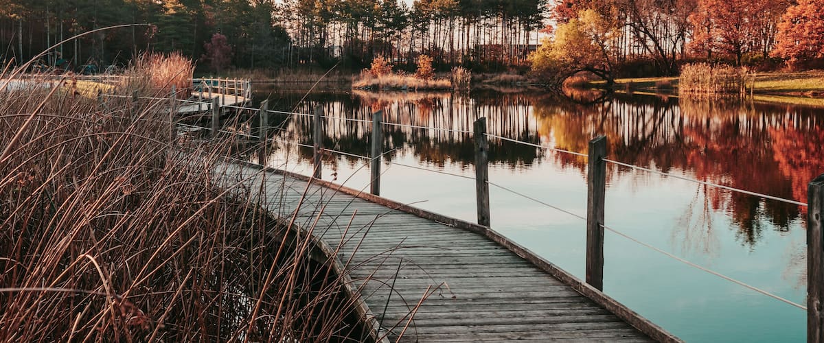 A wooden dock leading into a calm lake surrounded by autumn-colored trees.