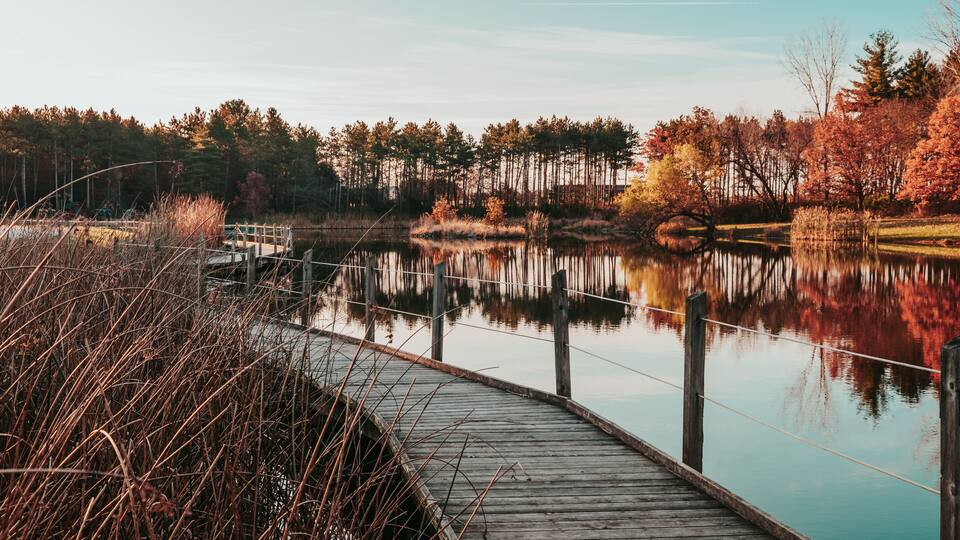 Un muelle de madera que se adentra en un lago tranquilo rodeado de árboles de colores otoñales.