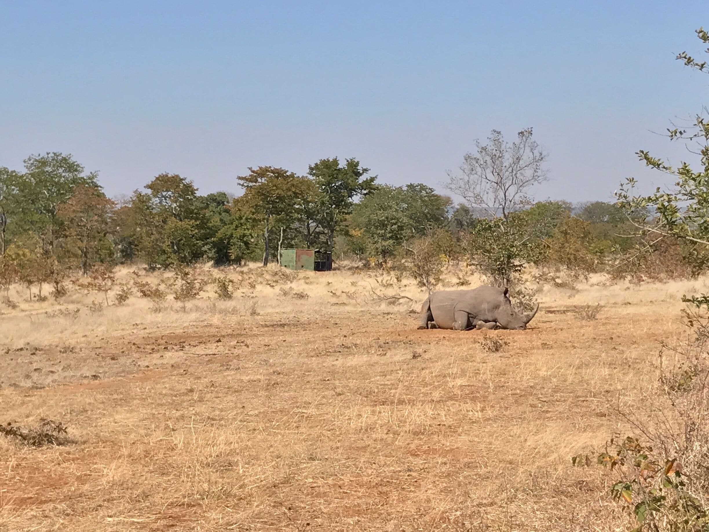 Good place to see some of the 12 rhinos kept here that are guarded by armed rangers all day. 