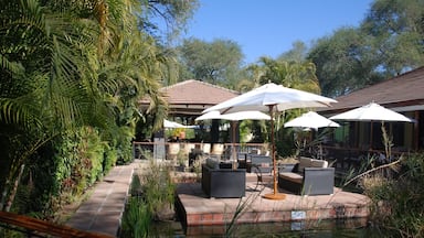 Our stop in Zambia. Comfortable, decent meals, nice service. The outdoor bar was a great place to gather in the evenings. If you have mosquito repellant.