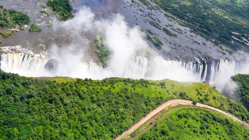 ลิฟวิงสโตน