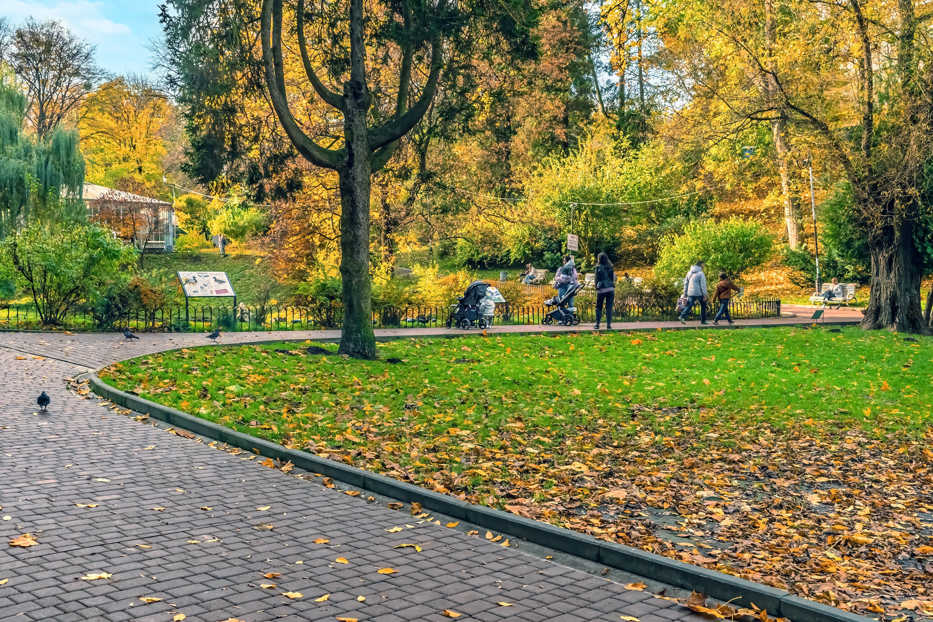 Un parque con un sendero pavimentado, árboles con hojas otoñales y una zona cubierta de césped.
