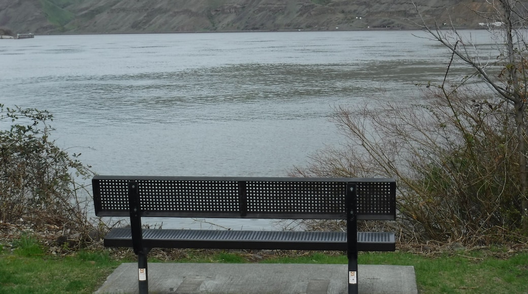 Where the Clearwater River joins the Snake River