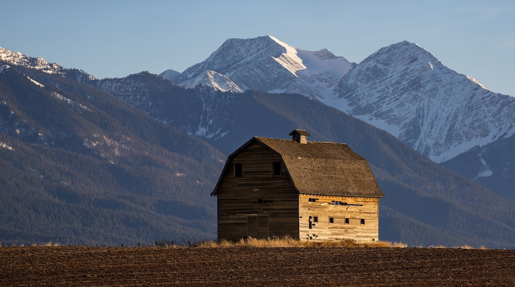 A wooden barn in a field with snow-capped mountains in the background.