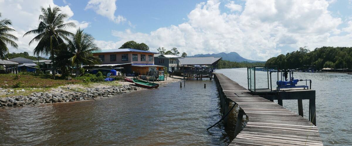 A wooden dock extending into a river with boats and houses nearby.