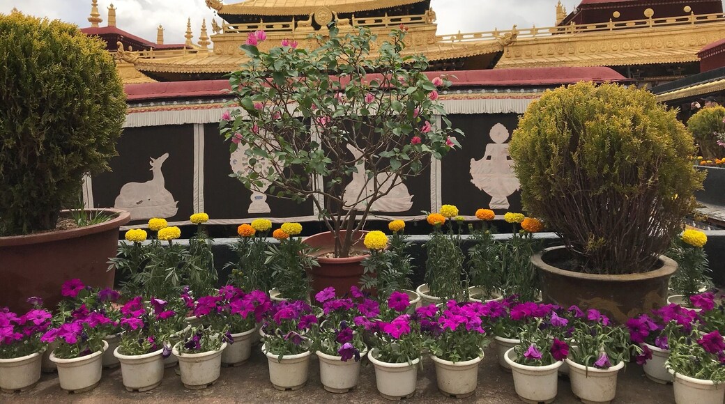 Sera Monastery is one of the "great three" Gelug university monasteries of Tibet, located 1.25 miles north of Lhasa and about 5 km north of the Jokhang. The other two are Ganden Monastery and Drepung Monastery.